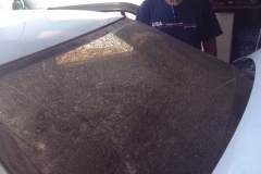 Rear Window Glass Replacement Company Sacramento CA